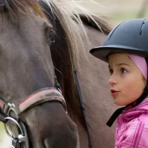 BPJEPS spécialité « Educateur Sportif » mention « Activités Equestres »