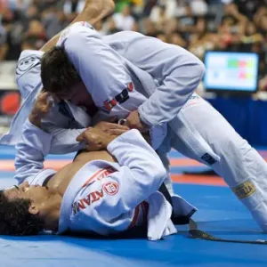 BPJEPS spécialité « Educateur Sportif » mention « Judo-Jujitsu »